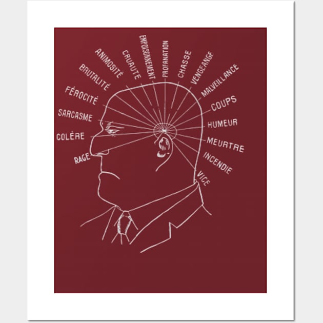 French Phrenology (1907) Wall Art by Desert Owl Designs